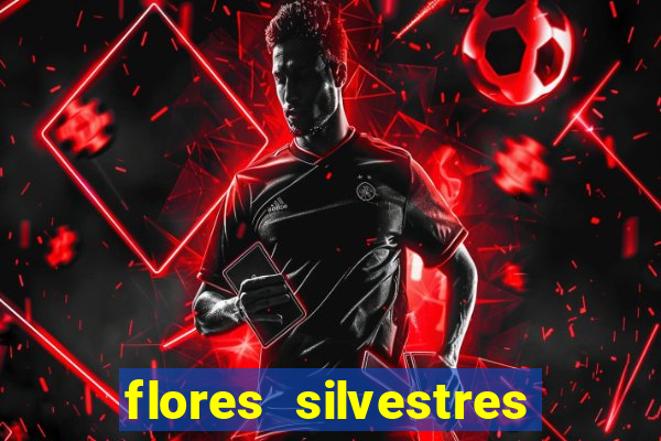 flores silvestres desbravadores desbravadores 25